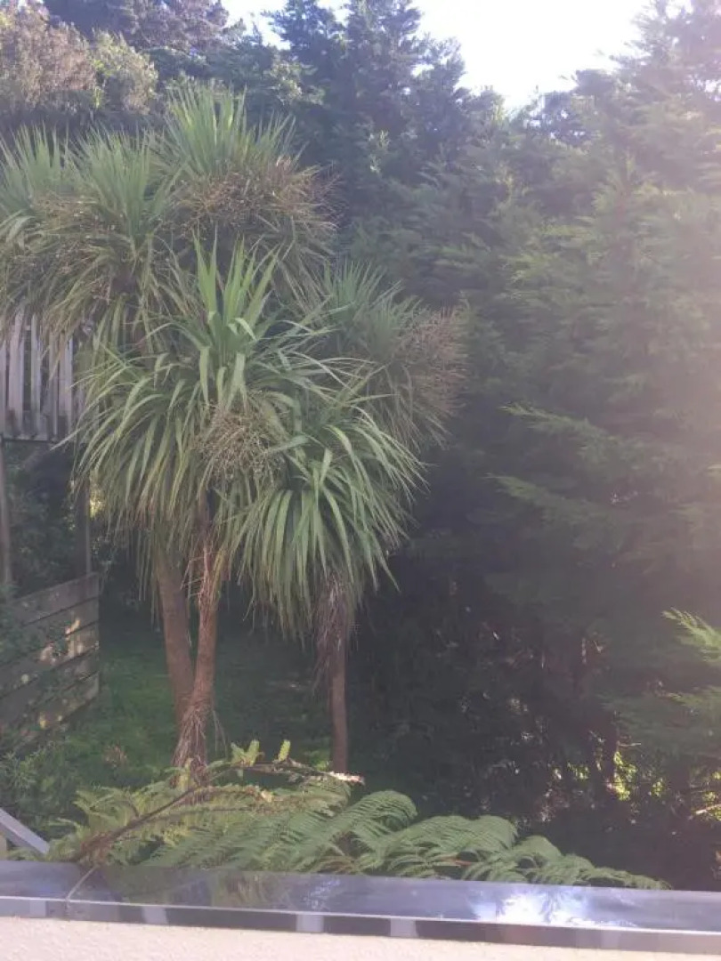 Harbour Lodge Wellington