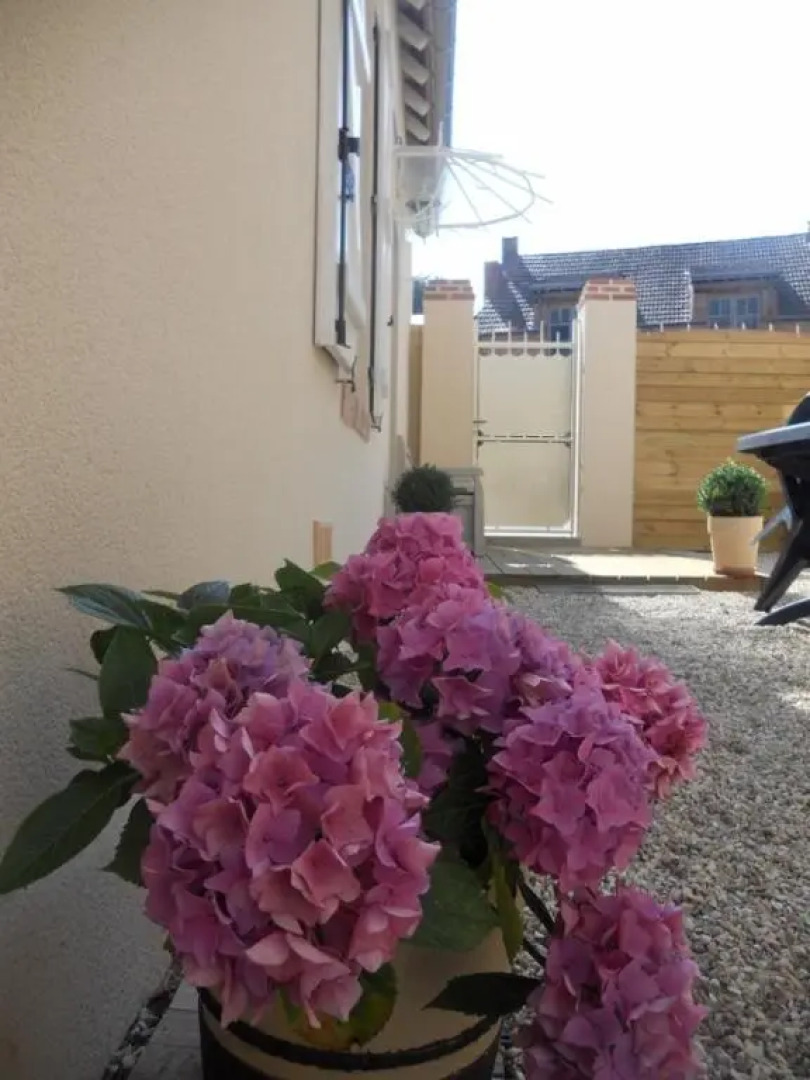 Les Palerées, gîte au coeur d'un village de la Sologne des Etangs
