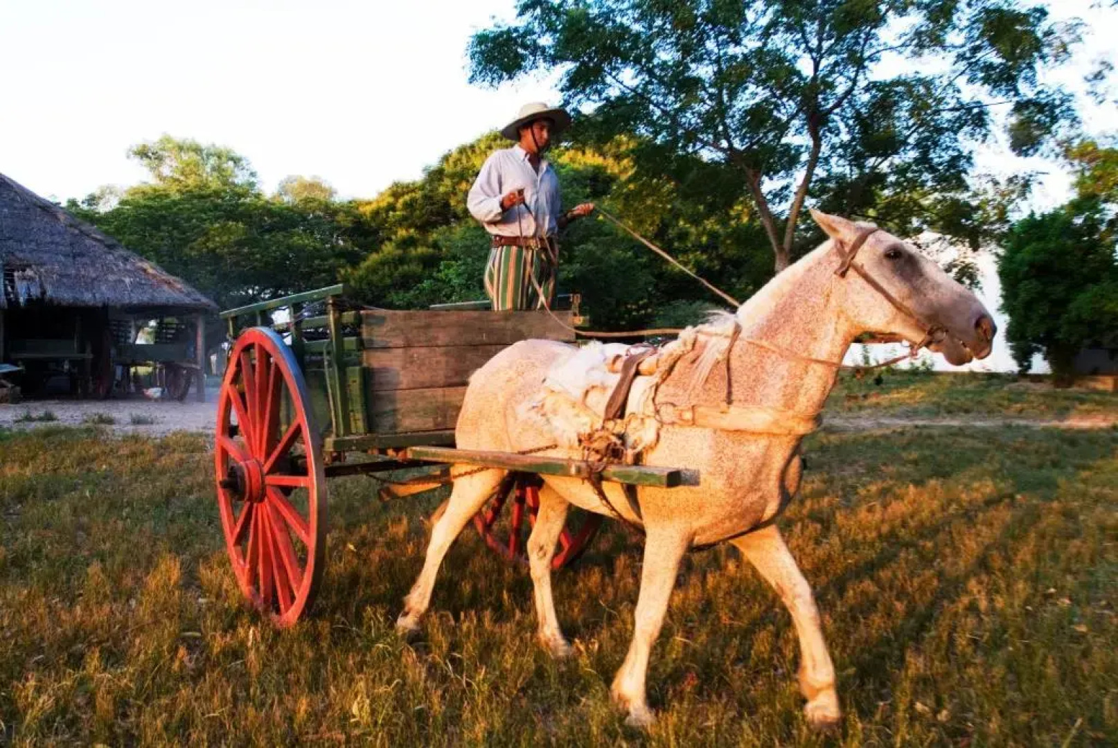 Estancia Buena Vista