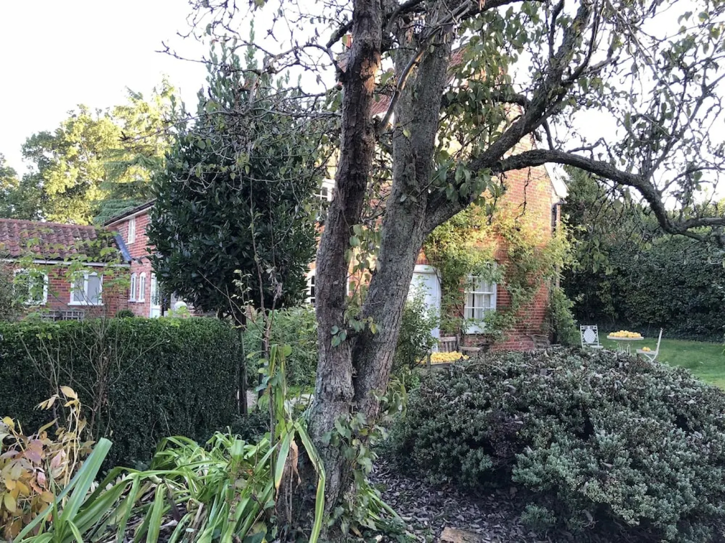 Crown House Bed & Breakfast