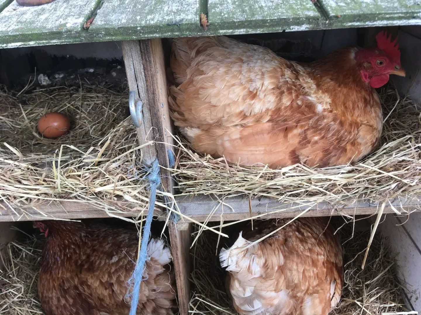 Bed and Breakfast Tistrup