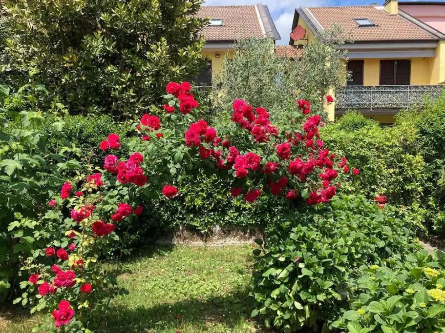 Dimora le Cinque Terre con piscina 011021-LT-0044