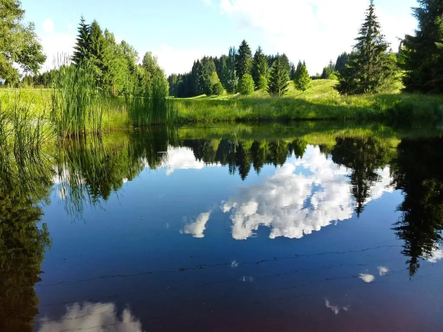 Ferienwohnung Haus Glockenblume