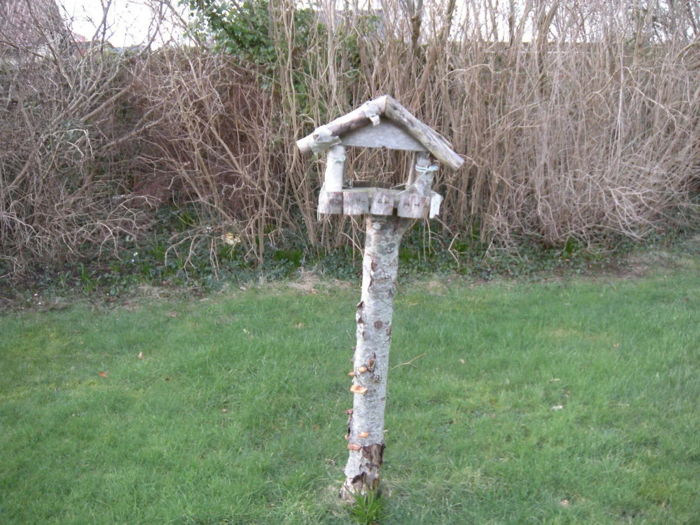 Nr. Nebel Overnatning Hostel