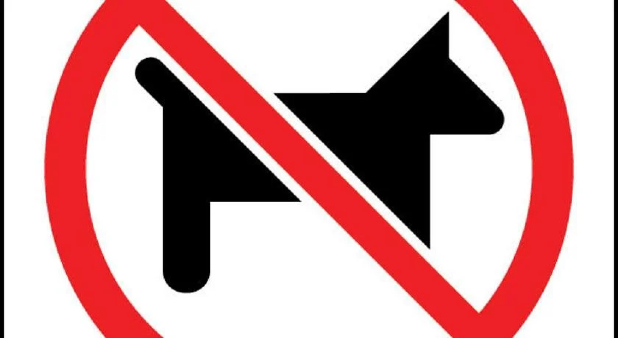 Rural Executive Holiday House @ Lavender Grove Farm