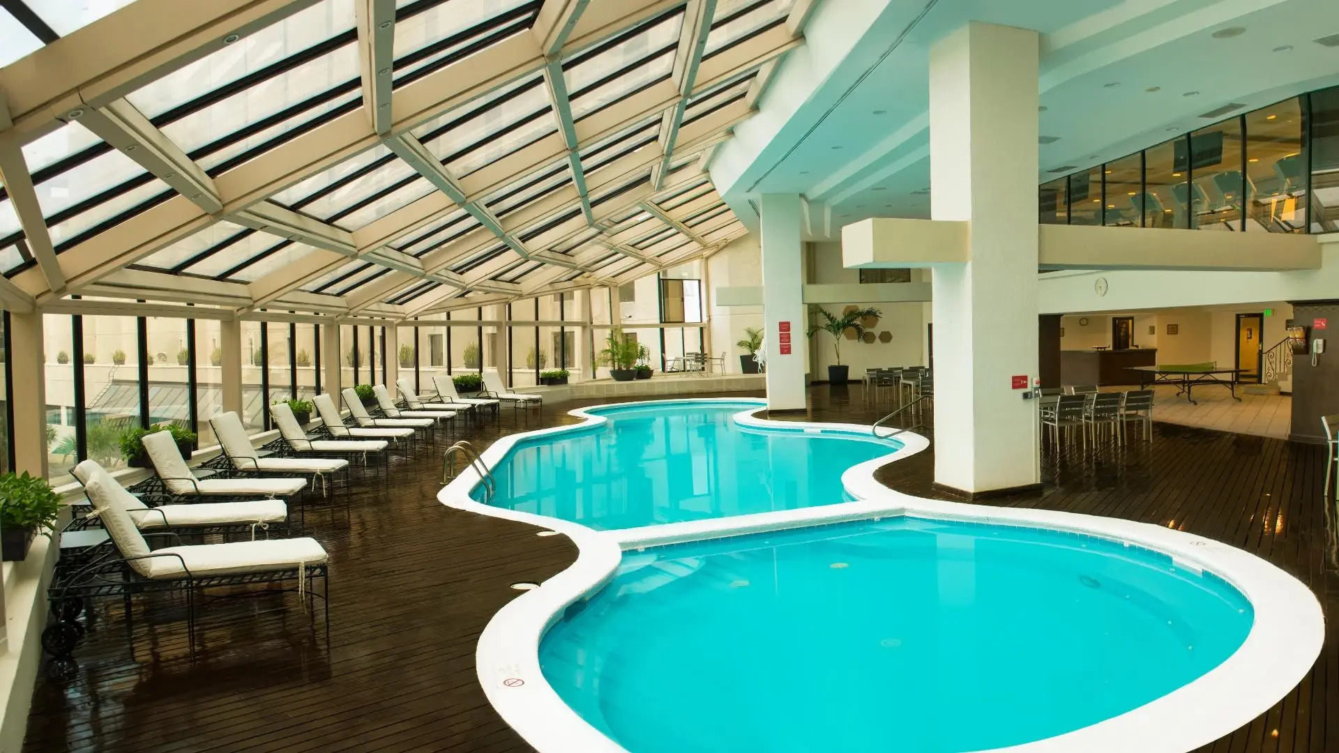 MS Milenium Monterrey, Curio Collection by Hilton