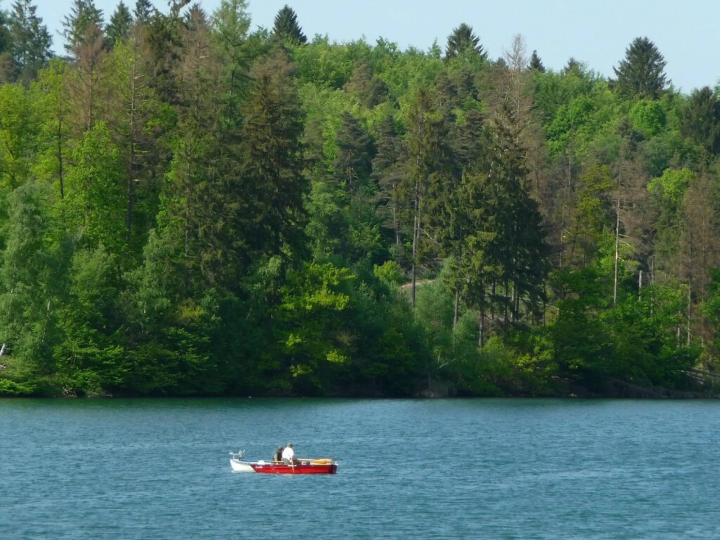 Graceful Holiday Home Near Ski Area in Schmallenberg Germany
