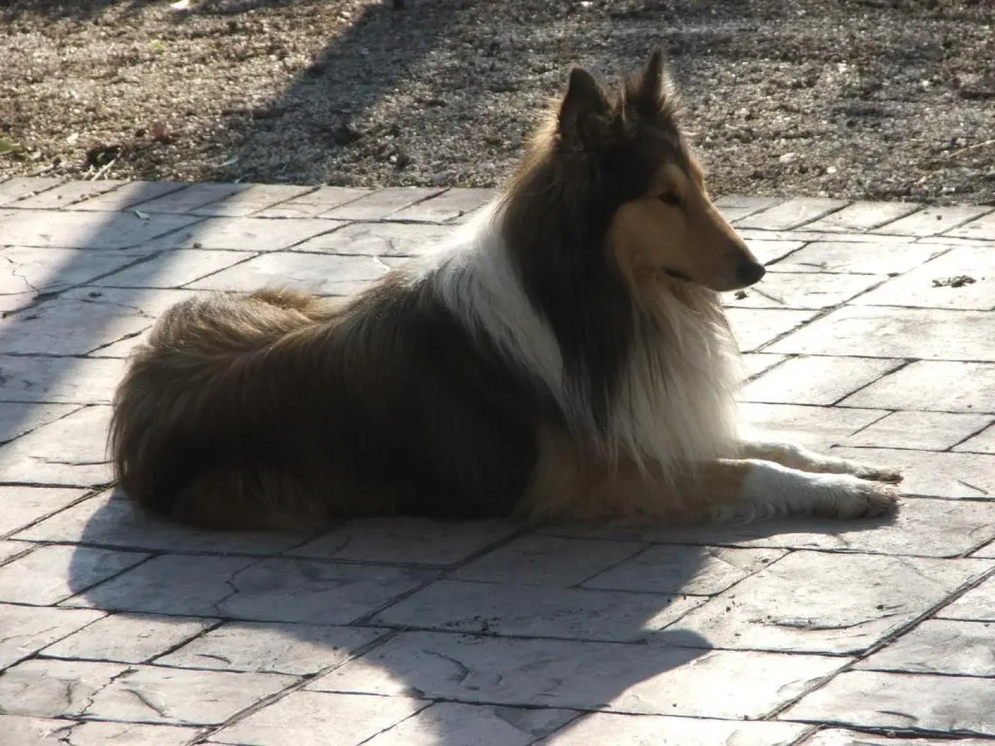 Il Casale Dell'Acquabona