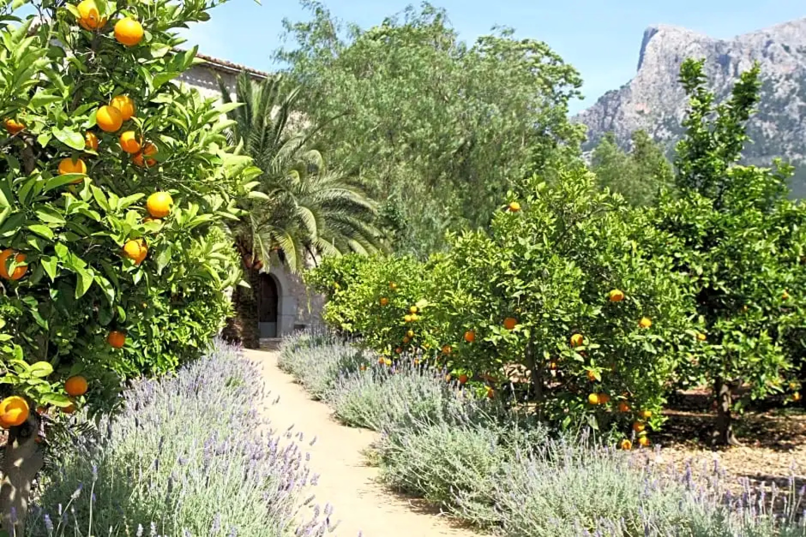 Finca Hotel Cas Curial