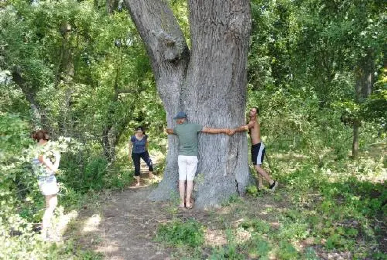 Vila Delta Travel - Mila 23