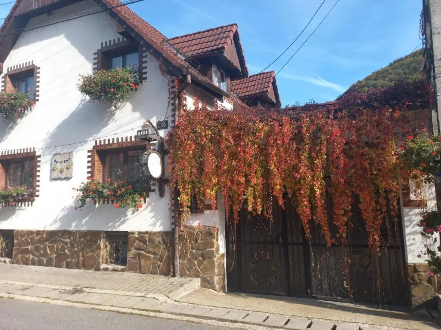 Casa de vacanta Vidrighin