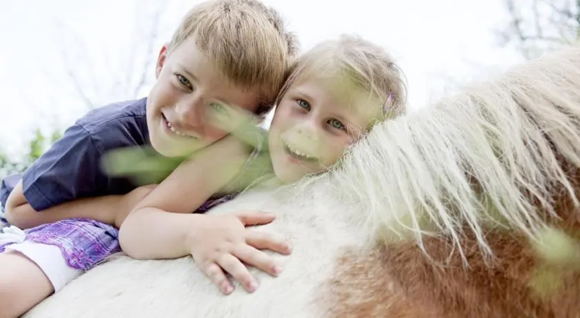 Ferienhof Ederbauer am Irrsee