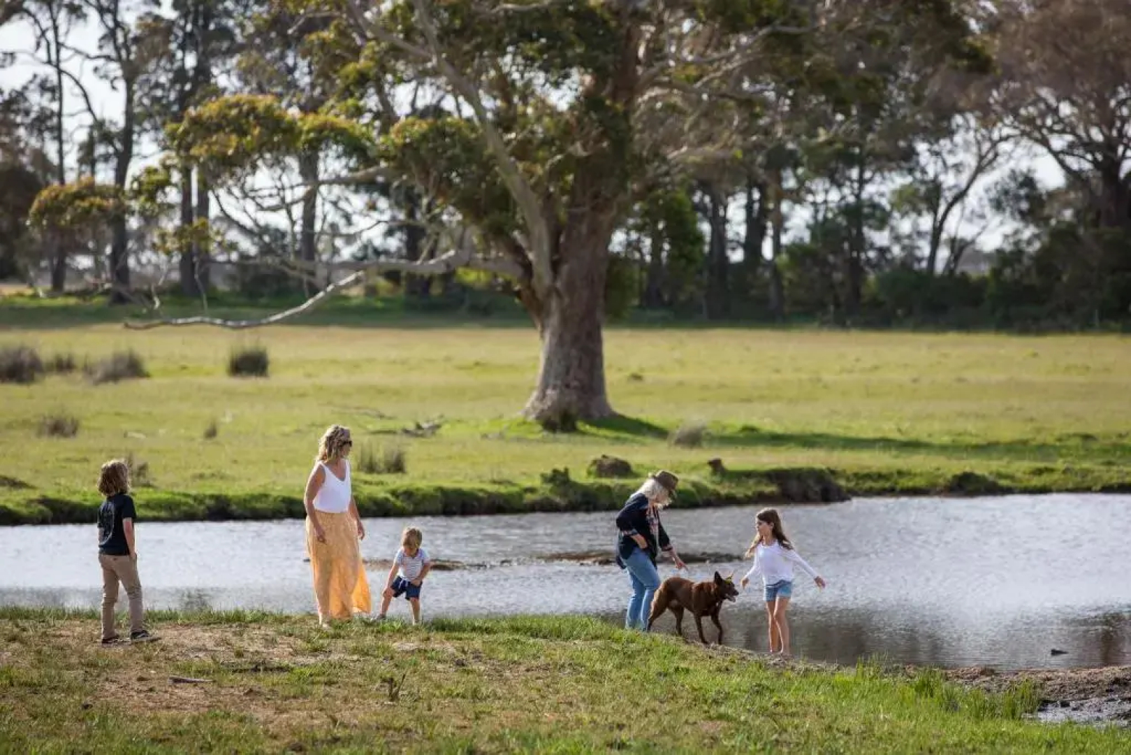 Redgate Forest Retreat