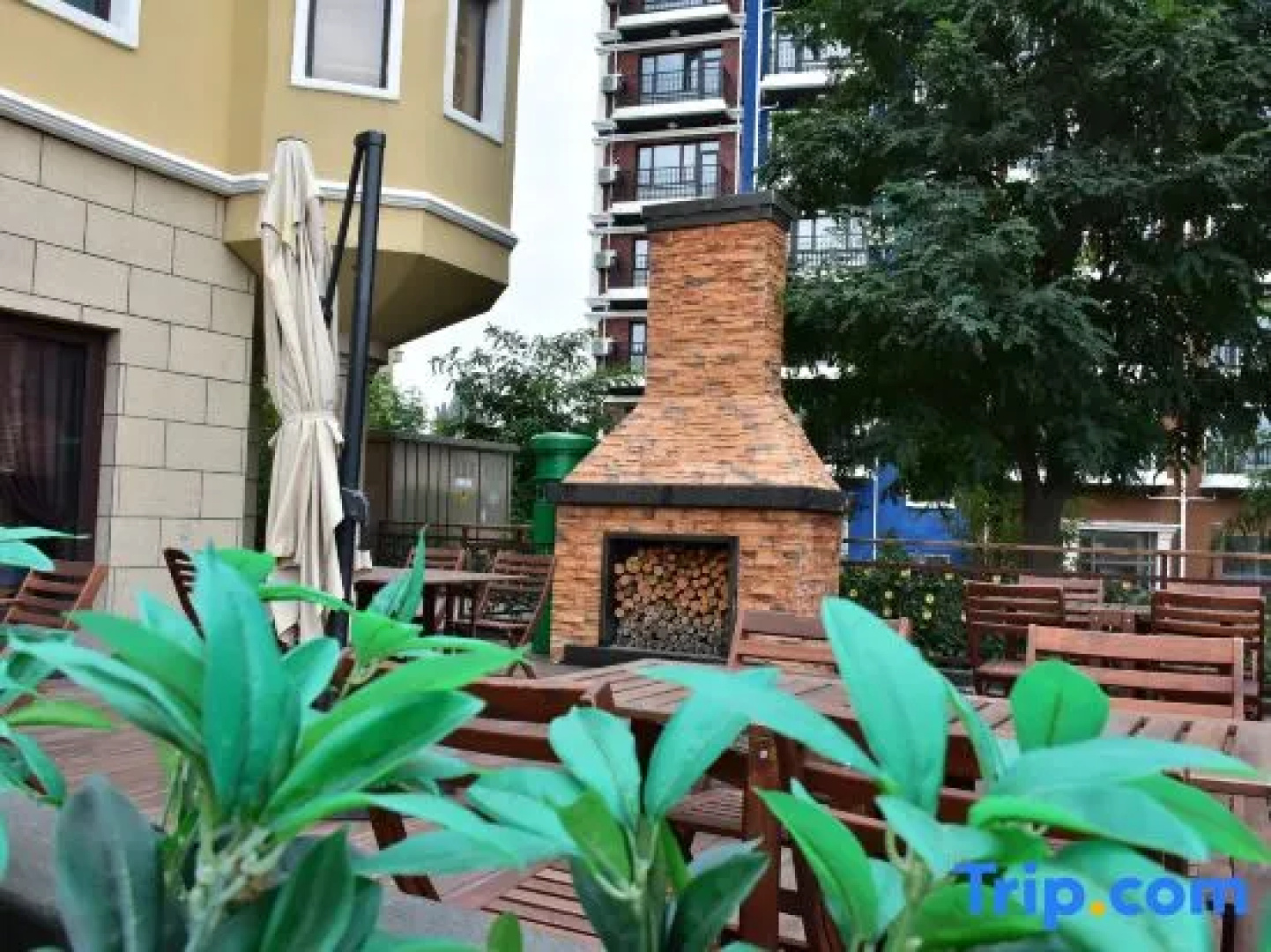 Baodi  Spring  Town