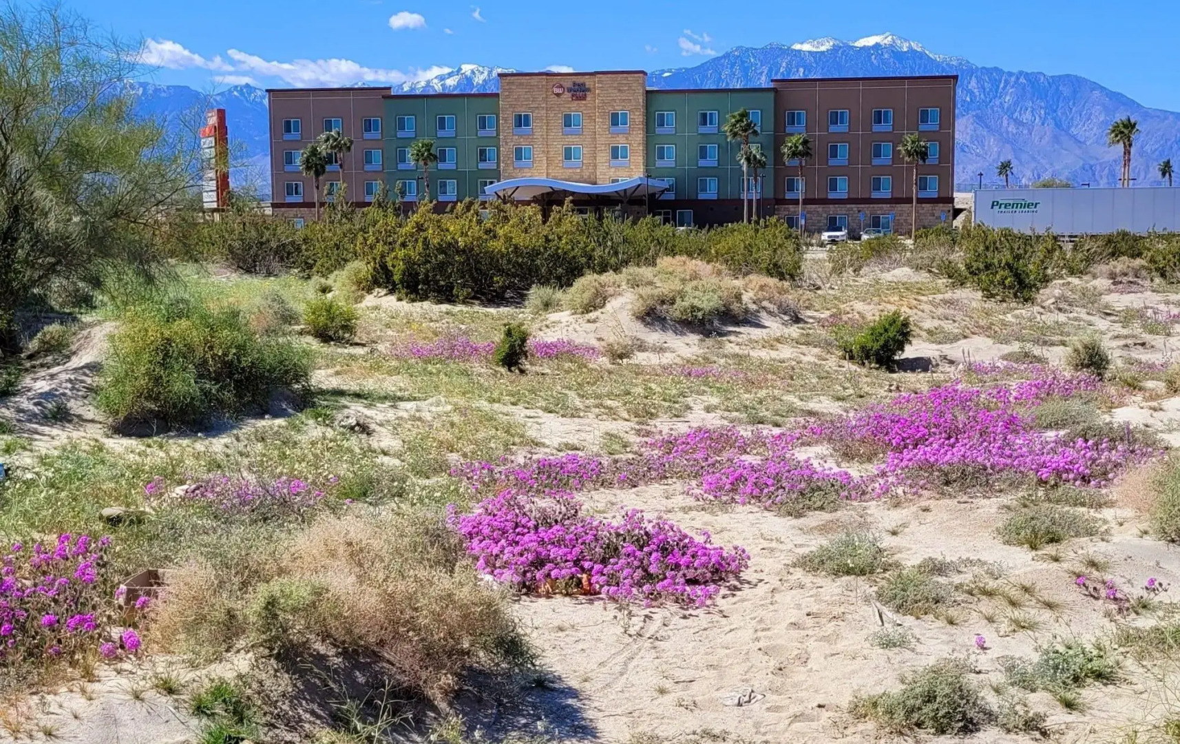 Best Western Plus Coachella Valley Inn & Suites