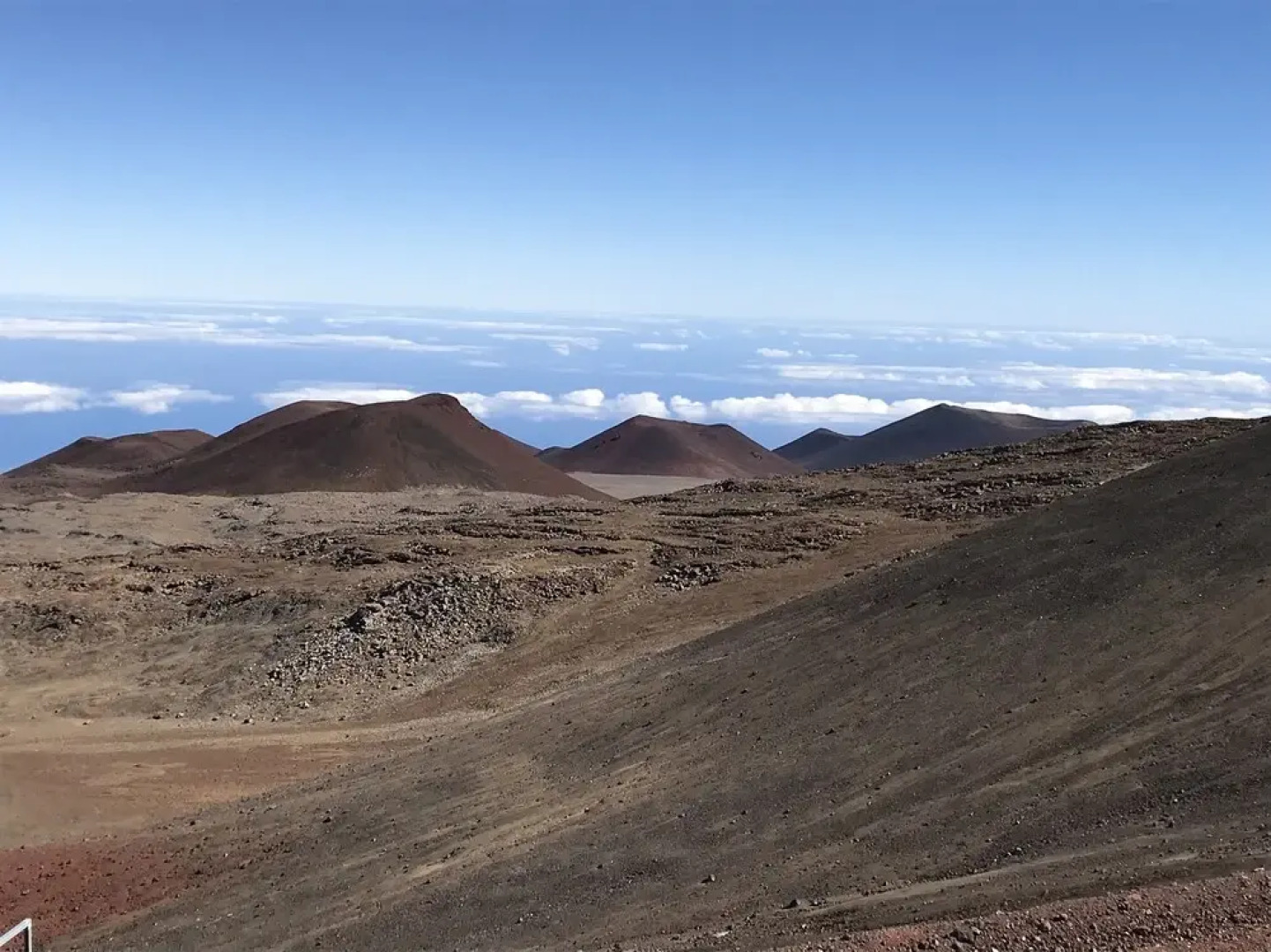 SweetSpotStay-Enchanted Grotto