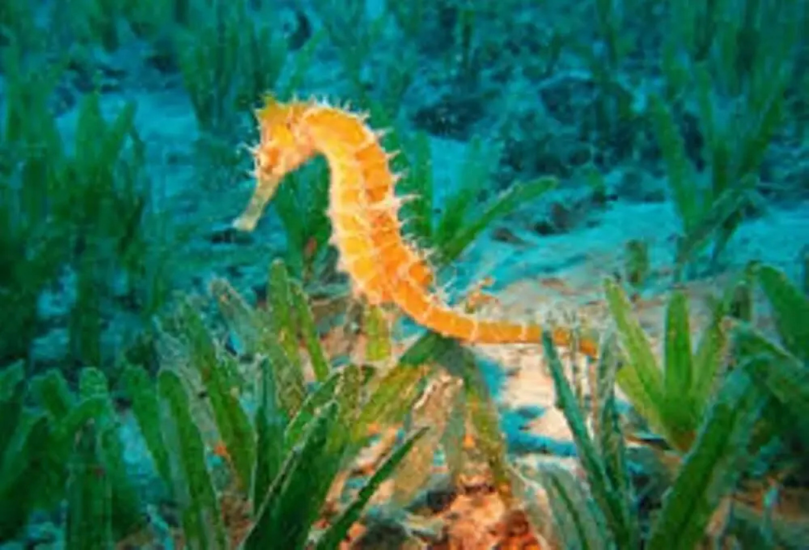 Quinta dos Cochichos – Country Houses