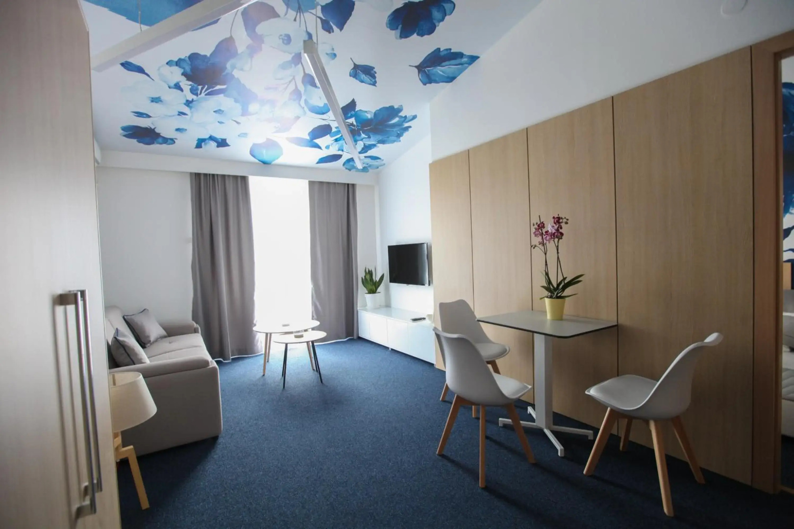 Luxury Apartments Taša