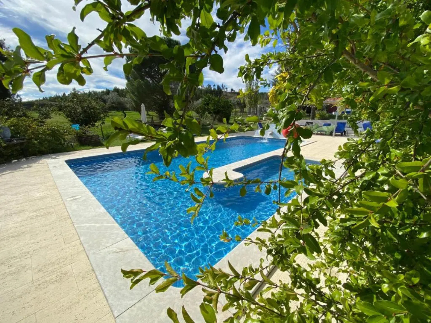 Quinta Alfaval