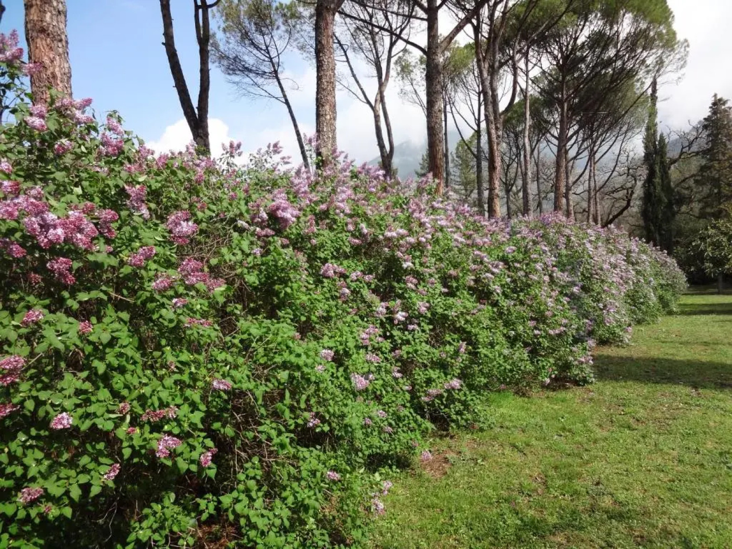 Villa Negri Arnoldi alla Bianca