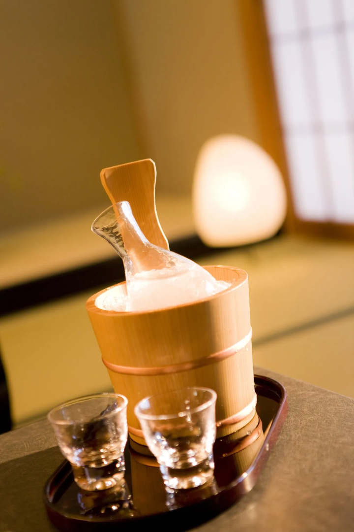 Nagaragawa Seiryu Hotel
