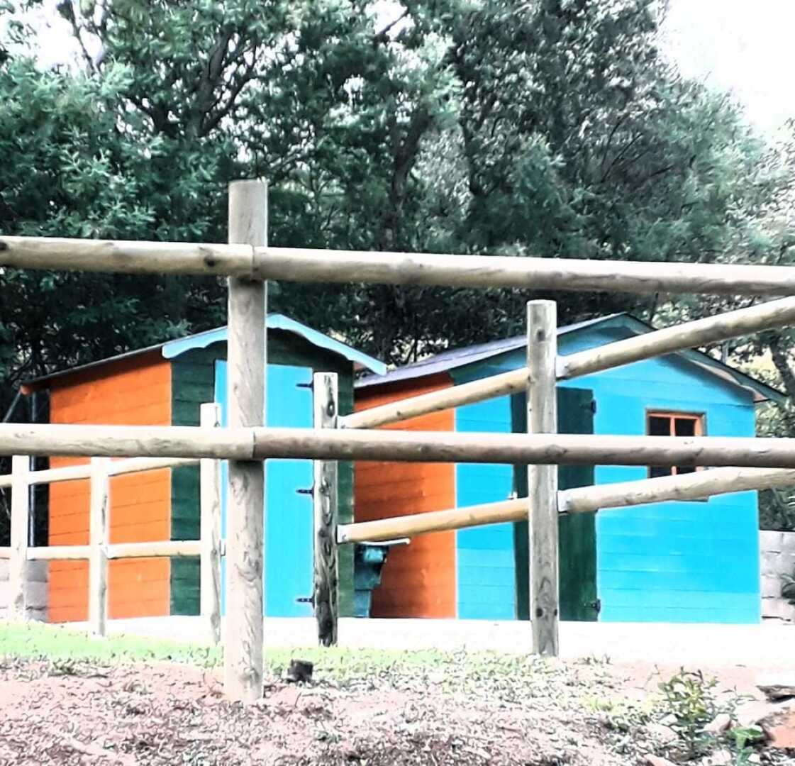 Lamusana - Adults Only