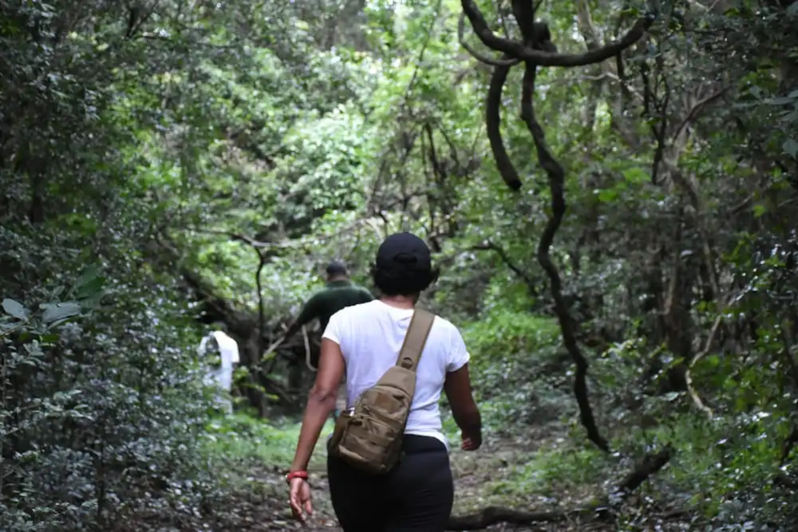 Explorer by Eco Team - Knuckles