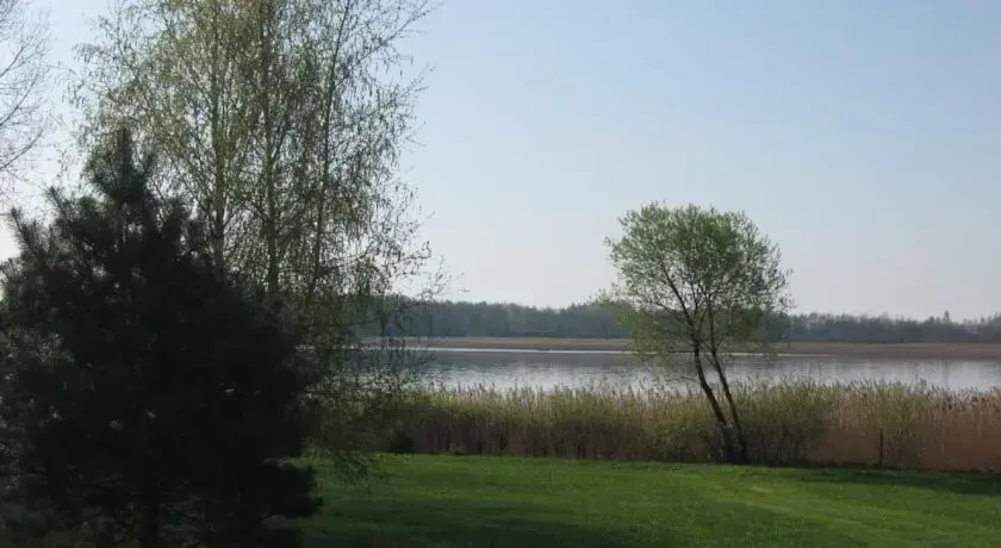 Przepiórka - Lisewo