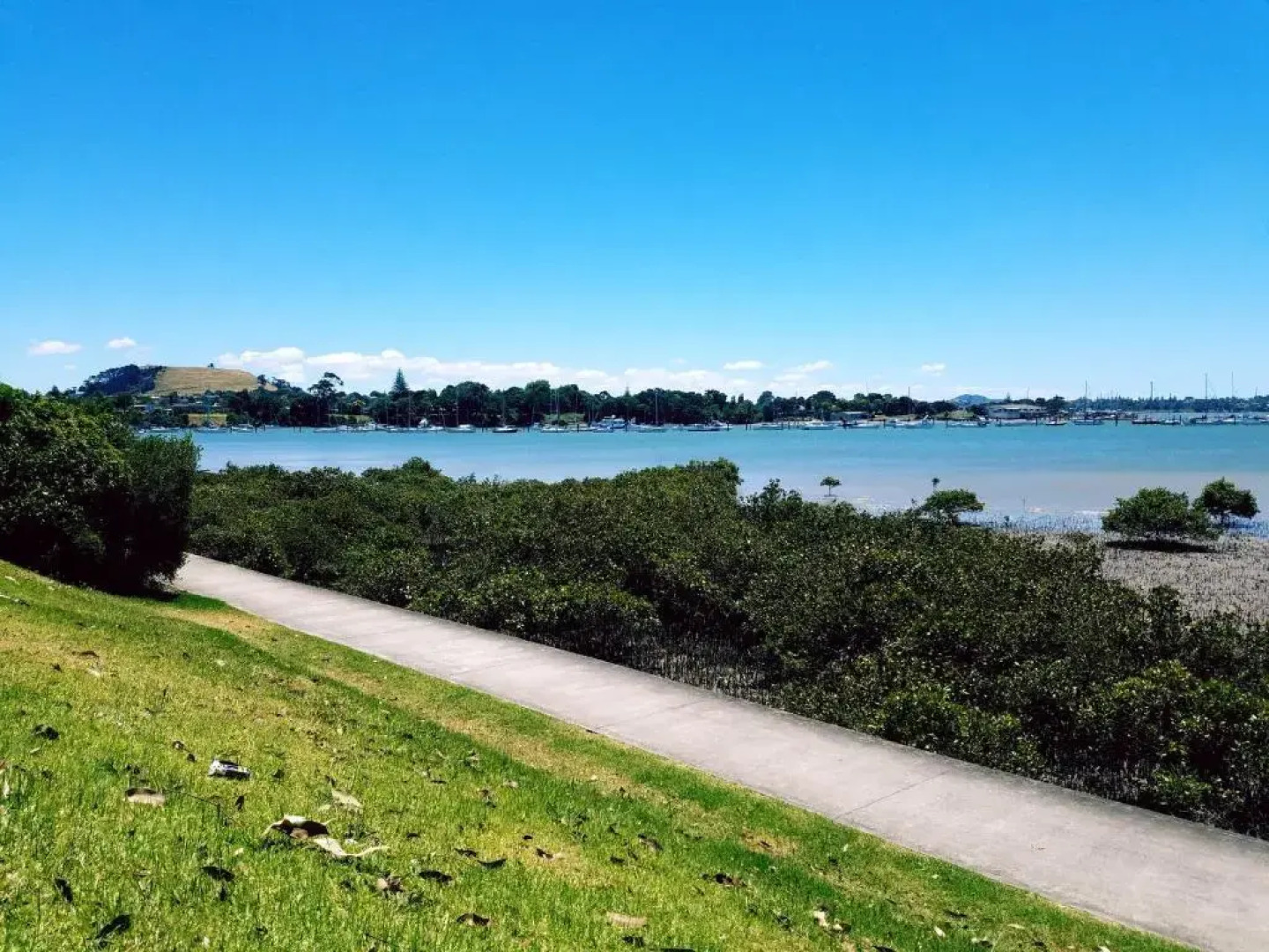 New Smart Home Nearby Plaza