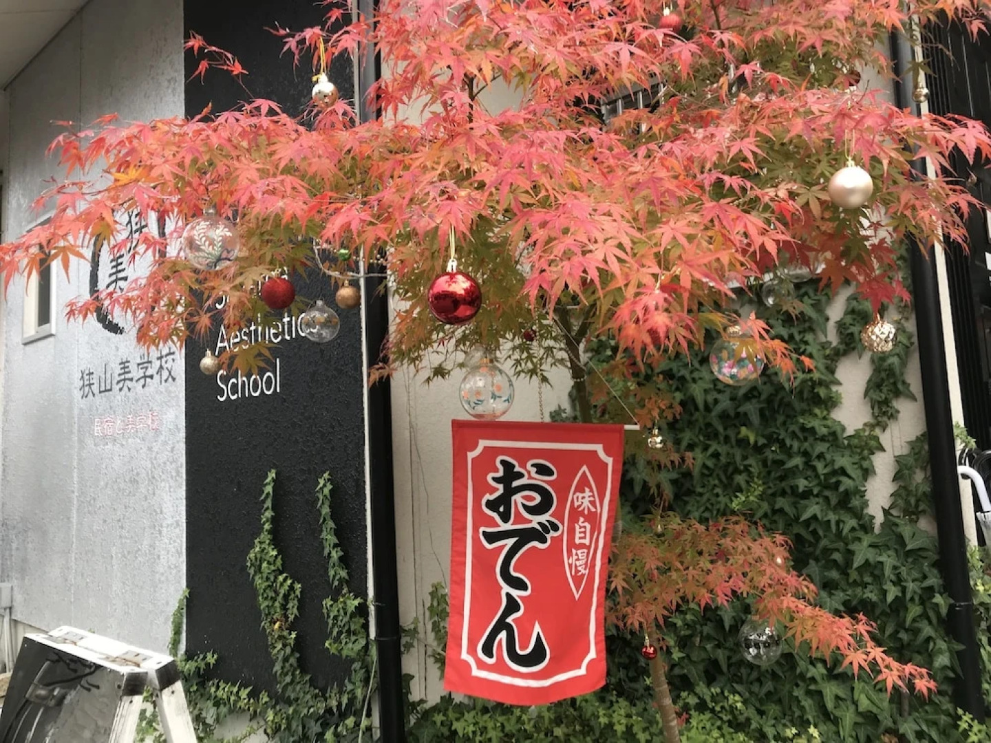 Sayama Aesthetics School