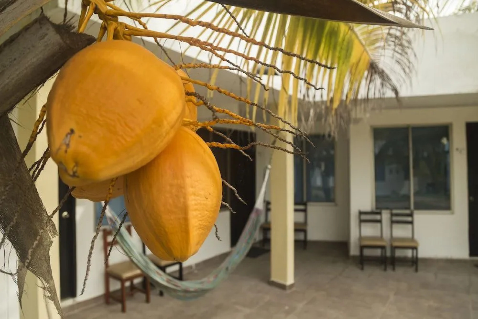 Caribbean Town Tolú