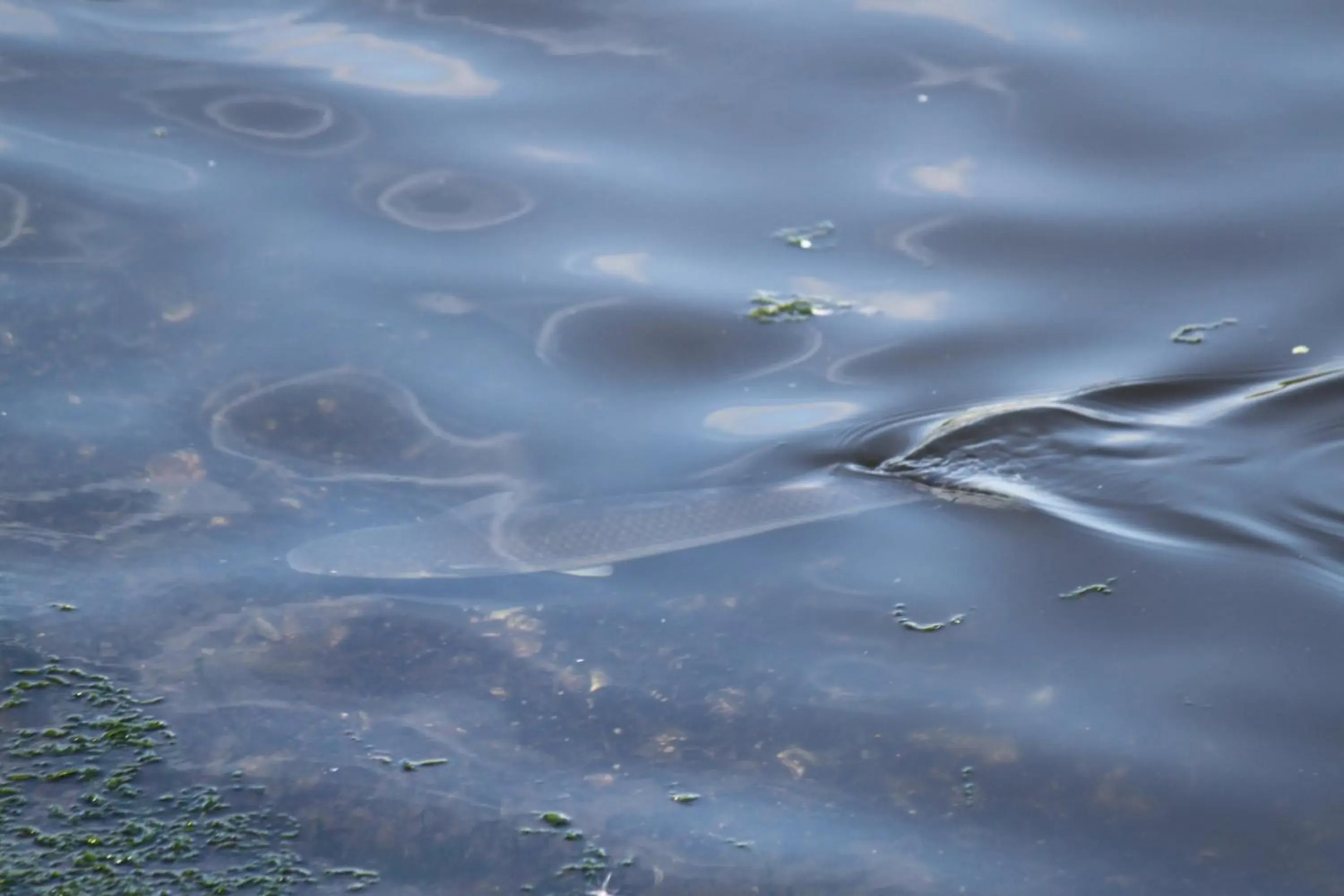 Herdersbrug Youth hostel