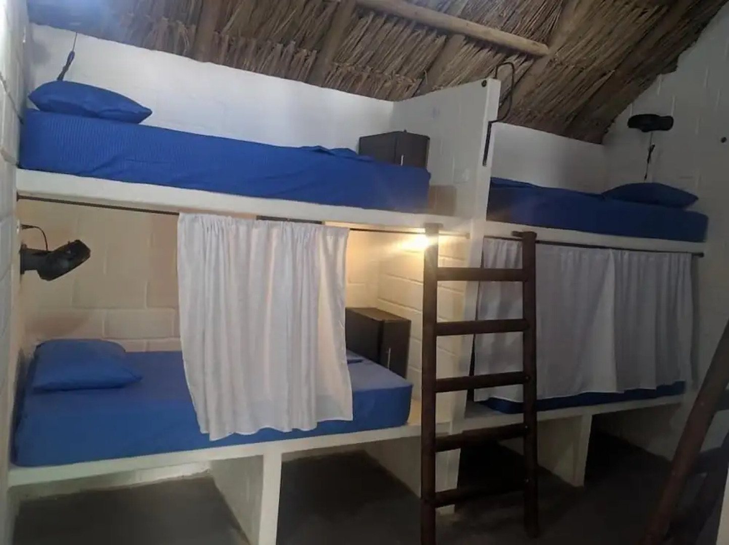 El Zoo Hostel & Pool