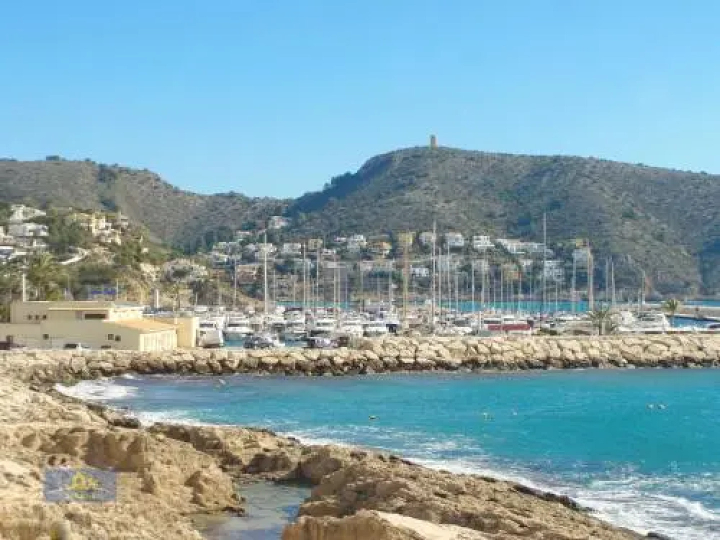 Jardines de Montemar