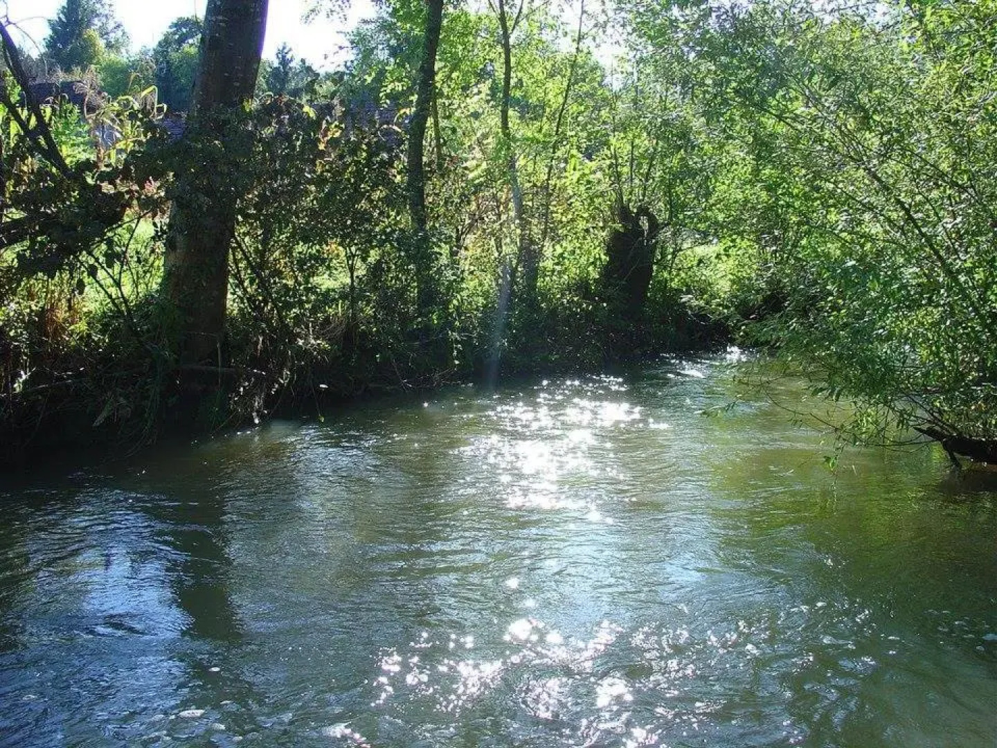 Hostel Flores in Zumberak eco-park