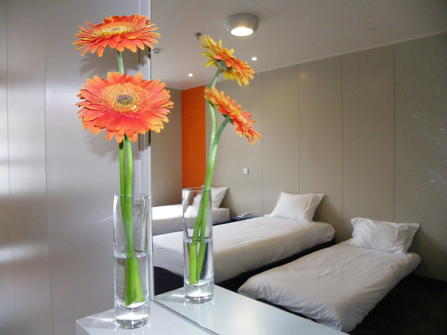 Herculano Stays Porto