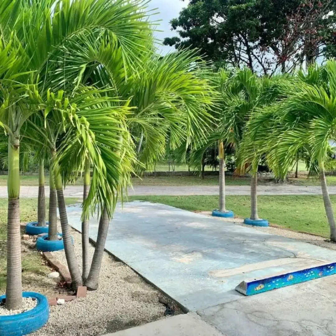 S4 BP Steps to Beach