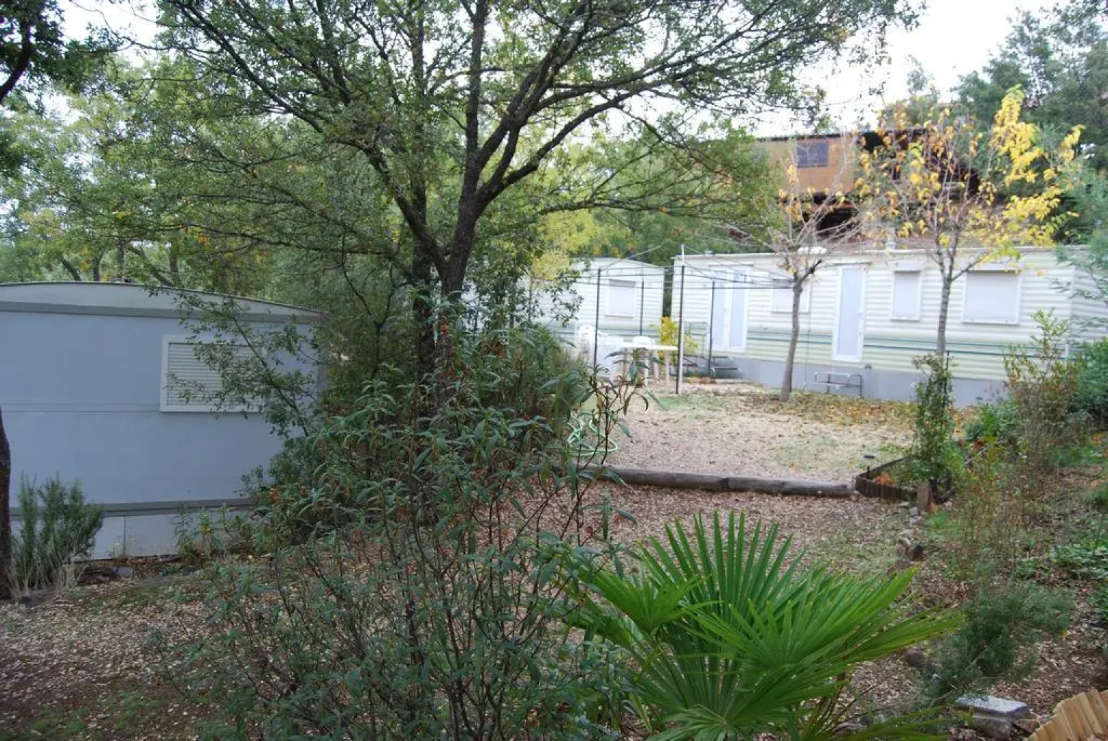 Camping de Cervera de Buitrago