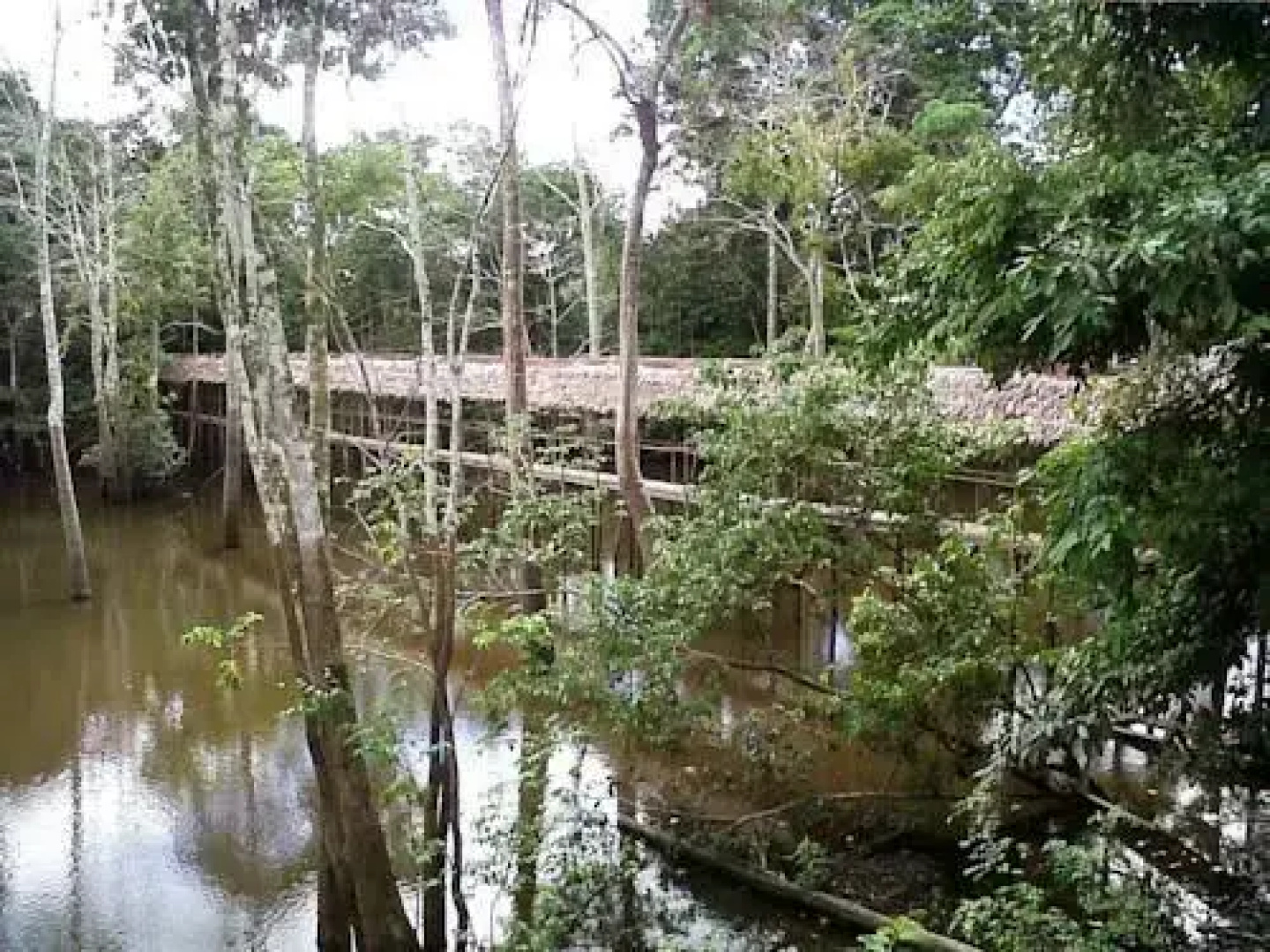 Yanapuma Explorer - Lodge & Adventure