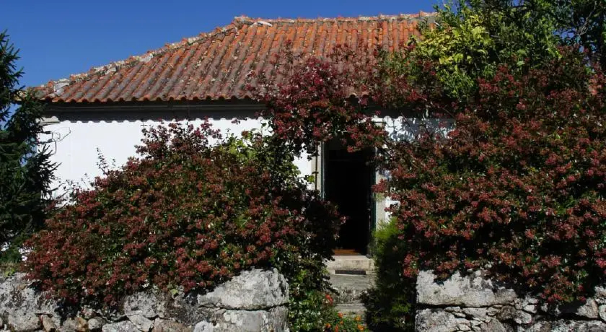 Holiday home Casa do Marinho