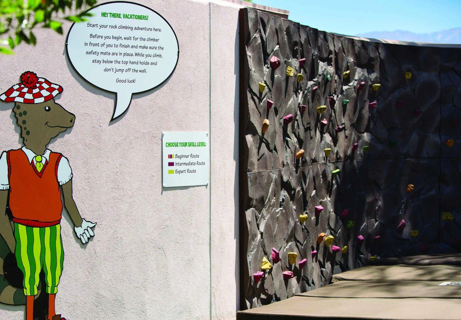 Marriott's Desert Springs Villas I