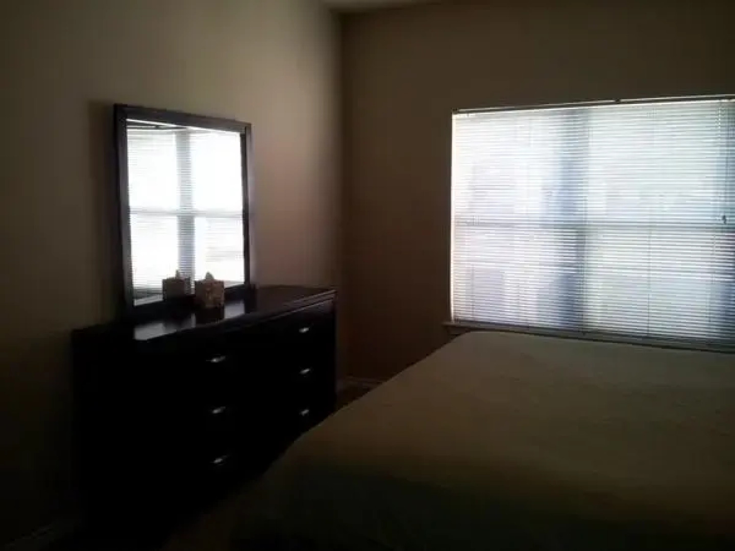 Amazing Oak Cliff/Garlan