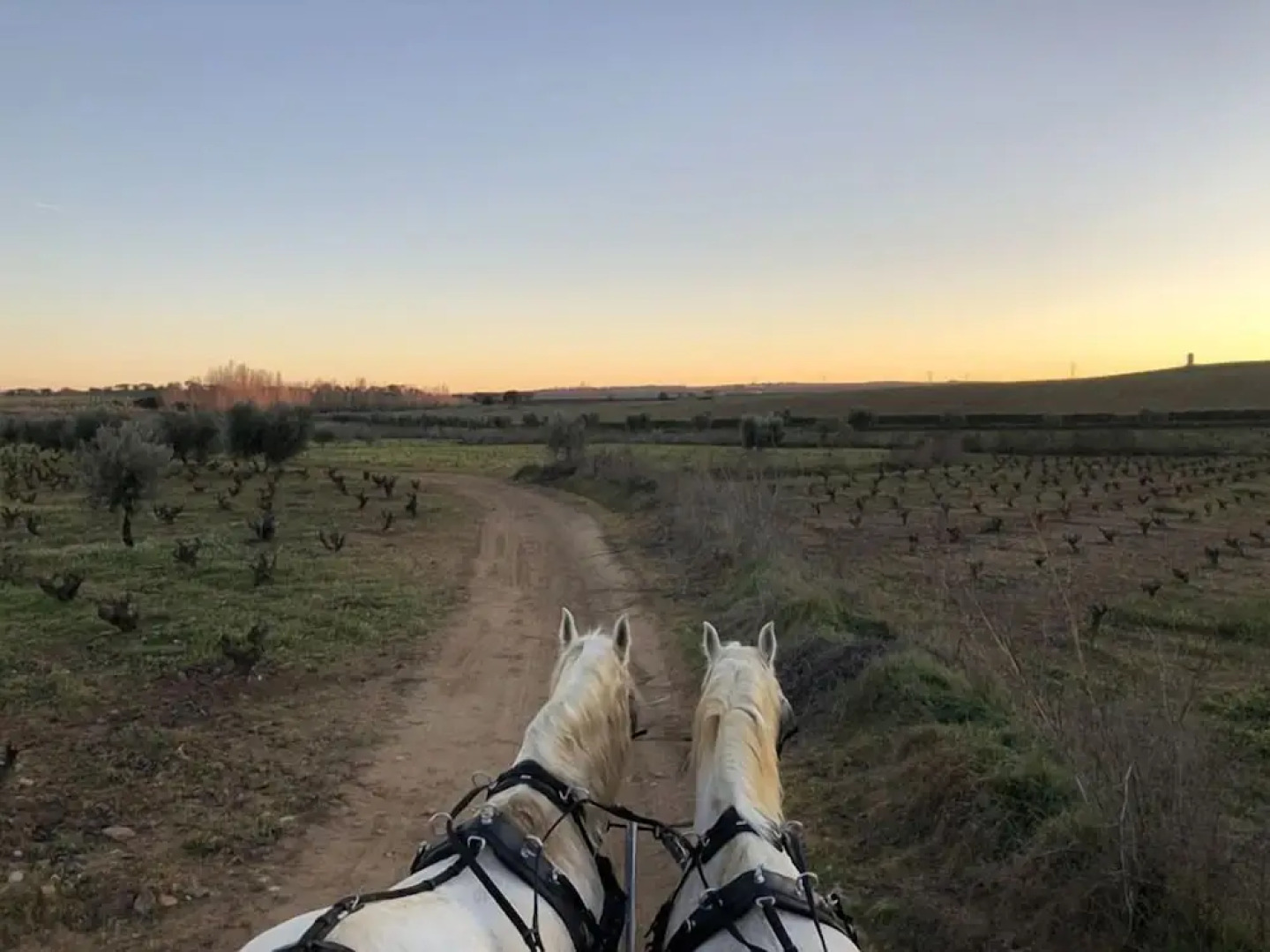 Hotel Bodega El Moral