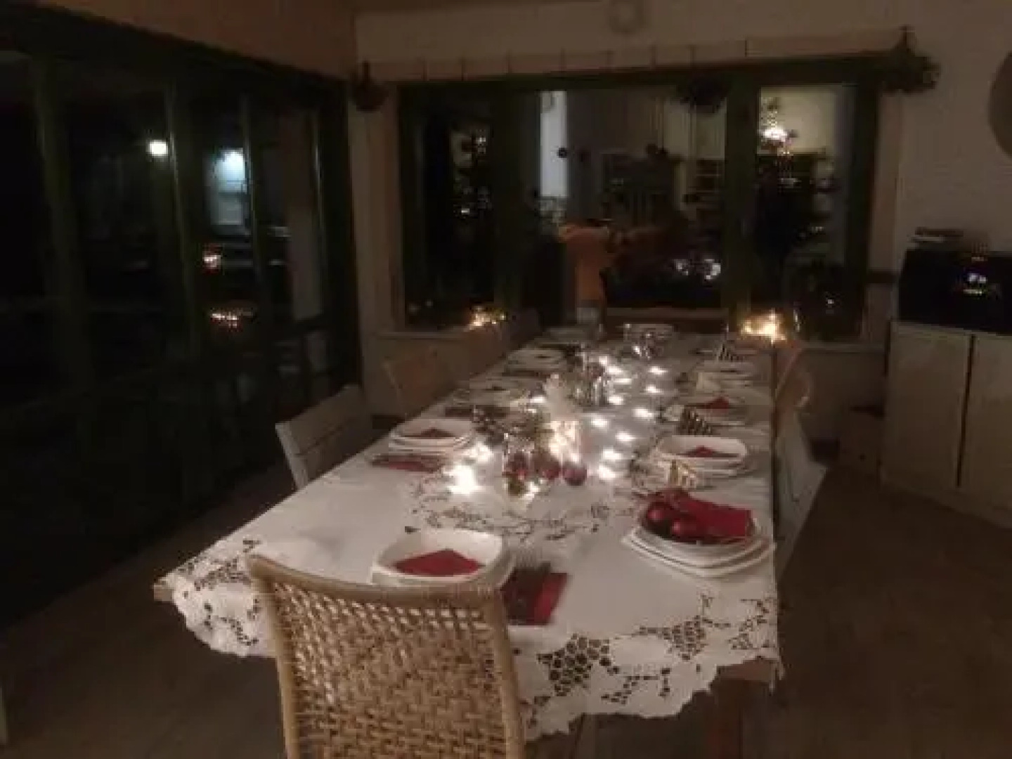 Chamedafne w Puszczy Kampinoskiej