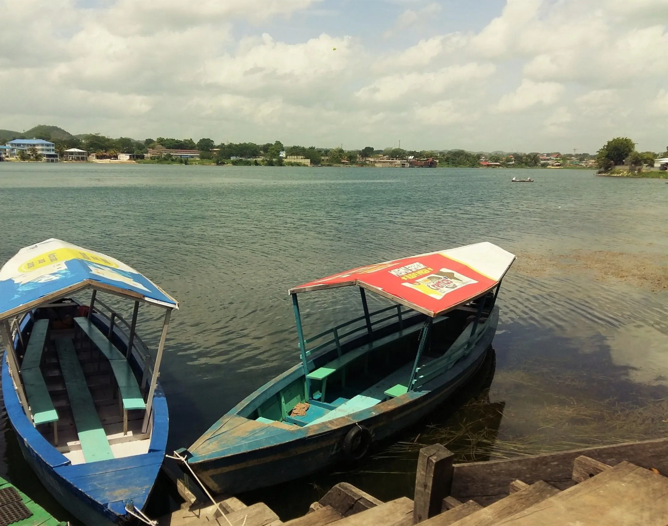 Flores de Peten