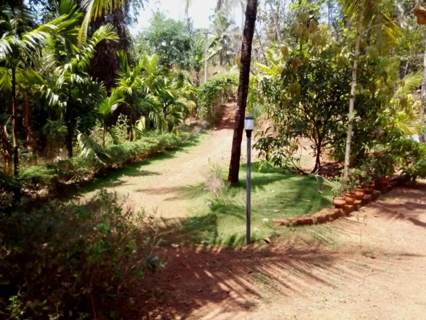 Ocean Green Kerala