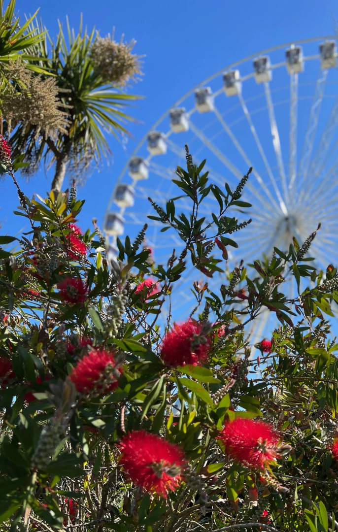 Pearl and Pebbles Hotel