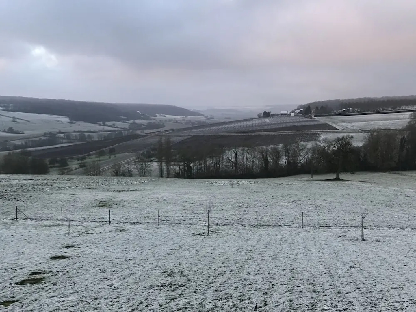 Chambres D'hôtes Champagne Douard