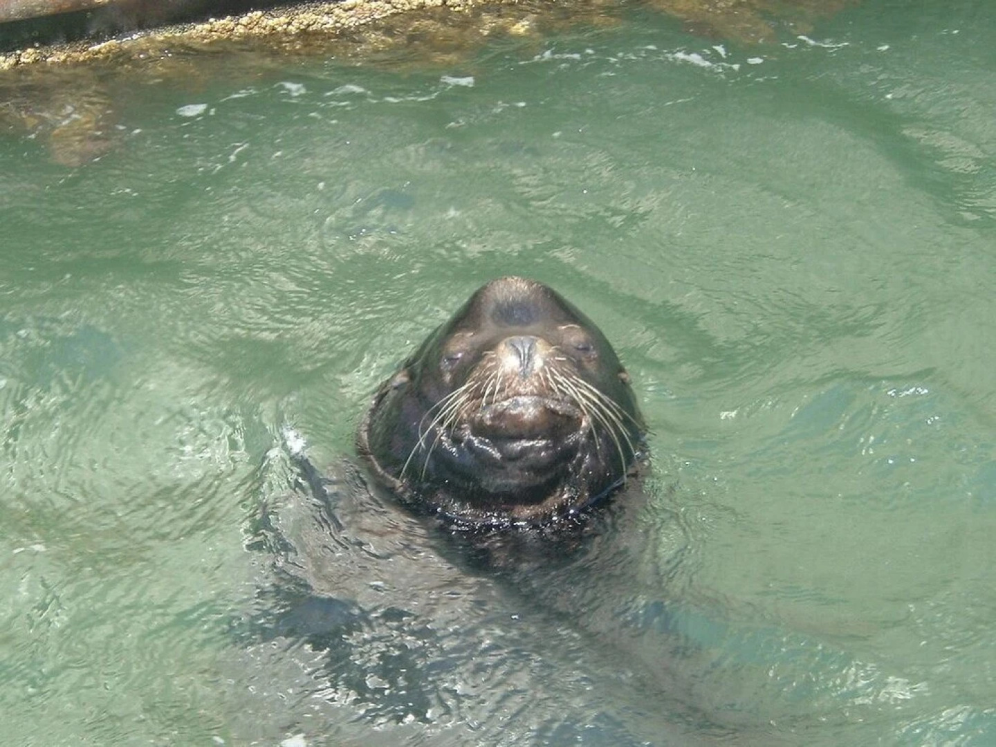 Pacific Motel and RV Park