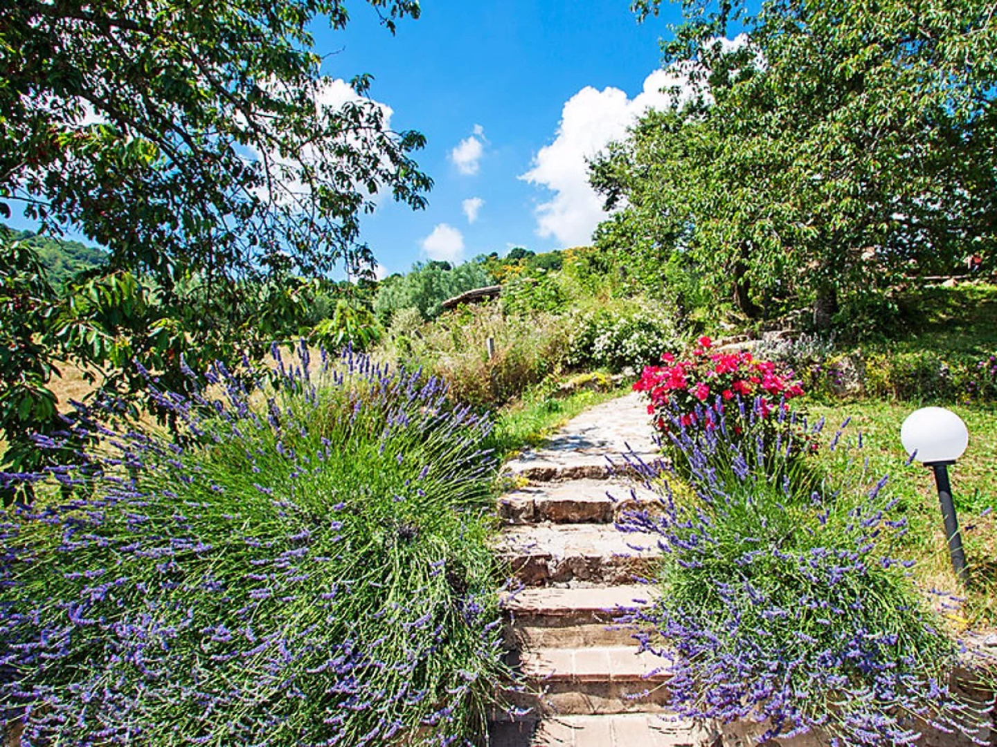 Santa Fiora retreat 30073